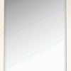 Rectangular Shaped Floor Mirror with Beveled Edge Silver By Casagear Home BM233236