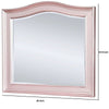 46 Inch Contemporary Style Wooden Frame Mirror Rose Pink By Casagear Home BM235461