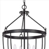 Chandelier with Metal Bird Cage Pendulum Design Black BM241879