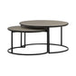 Rina Concrete and Black Metal 2 Piece Nesting Coffee Table Set By Casagear Home