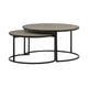 Rina Nesting Coffee Table Set | 2 Piece | Concrete | Black Metal