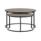 Rina Concrete and Black Metal 2 Piece Nesting Coffee Table Set By Casagear Home BM246003