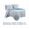 Veria 3 Piece Queen Quilt Set with Embroidery The Urban Port White and Blue By Casagear Home BM250133