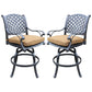 49 Inch Swivel Outdoor Patio Bar Stool, Set of 2, Brown By Casagear Home