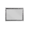 55 Inch Wood Mirror, Raised Scroll Floral Trim, Beveled, Silver By Casagear Home
