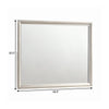 46 Inch Classic Wood Mirror Beveled Edge Landscape Metallic Silver By Casagear Home BM280472