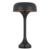 Emma Desk Lamp | 22" | USB + Type C | Dark Bronze