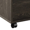 20 Inch Wood Rolling File Cabinet 1 Large Cabinet 1 Drawer Dark Oak By Casagear Home BM282968