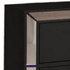 Eli 23 Inch Deluxe 2 Drawer Nightstand Mirrored Trim Wood Frame Black By Casagear Home BM283199