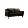 Eve 60 Inch Modern Loveseat, Spring Seat, Brown Leather Match Upholstery By Casagear Home