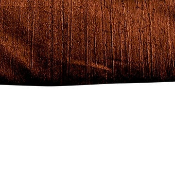 Jay 2 Piece Twin Comforter Set Copper Polyester Velvet Deluxe Texture By Casagear Home BM283898