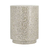 18 Inch Luxury Accent Table Stool Foliage Star Pattern Champagne White By Casagear Home BM284705