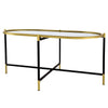 43 Inch Elongated Mirror Top Coffee Table Iron Frame Gold Finish Black By Casagear Home BM284761