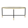 43 Inch Elongated Mirror Top Coffee Table, Iron Frame, Gold Finish, Black By Casagear Home