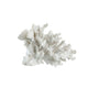 Lily Accent Sculpture | 10" | Faux Coral | Polyresin | White