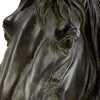 16 Inch Modern Decorative Figurine Sculpture Horse Bust Black Polyresin By Casagear Home BM285564