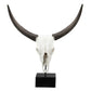 26 Inch Resin Cow Skull Accent Table Decoration, Metal Block Base, White By Casagear Home