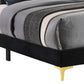 Lif Platform King Size Bed Panel Tufted Headboard Gold Black Velvet By Casagear Home BM297256
