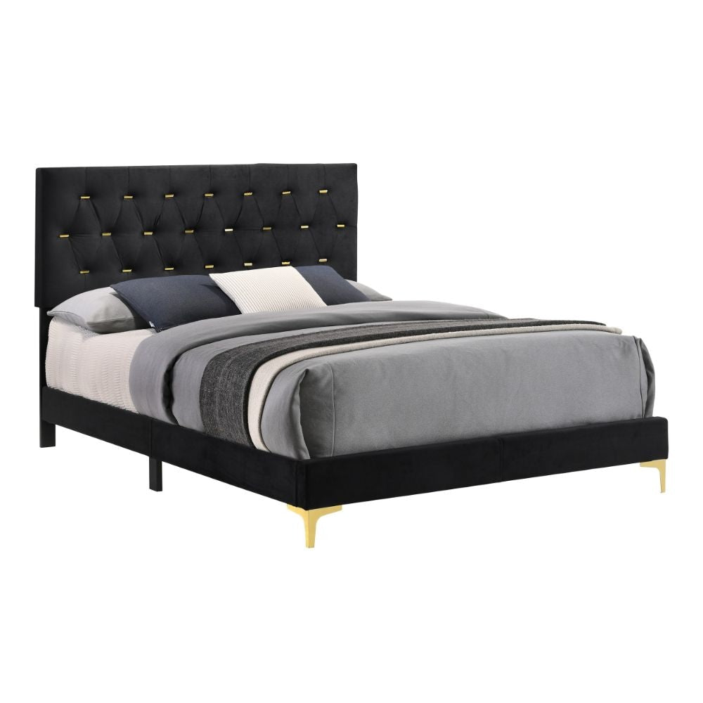 Lif Platform California King Size Bed, Tufted Headboard, Gold, Black Velvet By Casagear Home