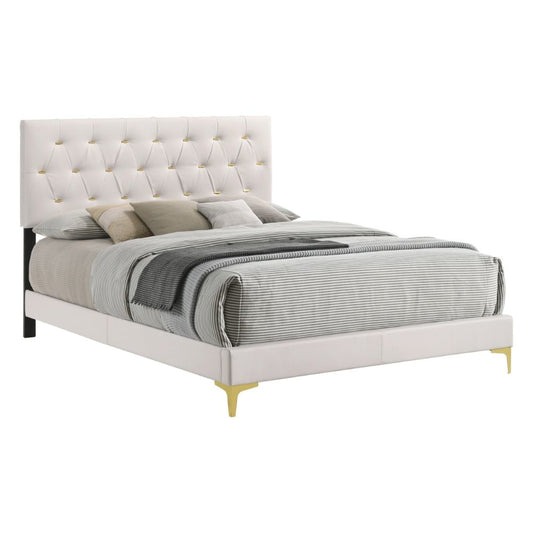 Lif Platform Queen Size Bed, Panel Tufted Headboard, Gold Legs White Velvet By Casagear Home