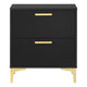 Lif 25 Inch Modern 2 Drawer Nightstand Gold Metal Accents Jet Black By Casagear Home BM297270