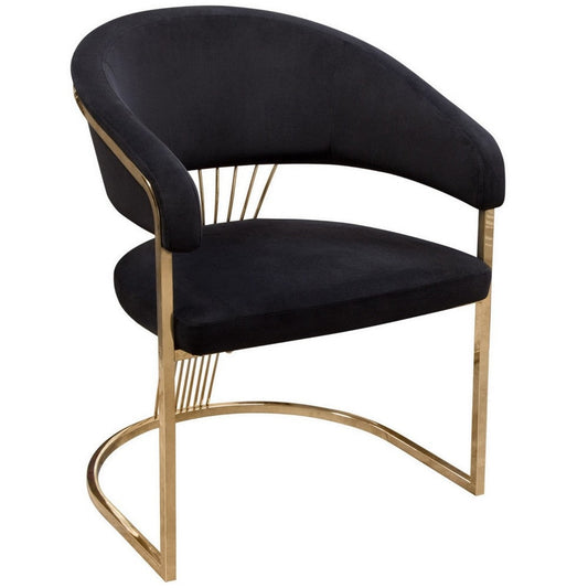 Emy 26 Inch Cantilever Barrel Dining Chair, Black Velvet Upholstery, Gold By Casagear Home