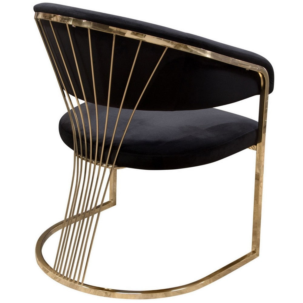 Emy 26 Inch Cantilever Barrel Dining Chair Black Velvet Upholstery Gold By Casagear Home BM303166