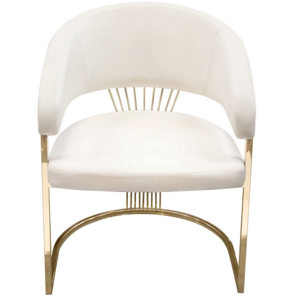 Emy 26 Inch Cantilever Barrel Dining Chair Cream Velvet Upholstery Gold By Casagear Home BM303167