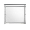 Lee 37 x 40 Vanity Mirror 10 Light Bulb Sockets Modern Silver Wood Frame By Casagear Home BM309543