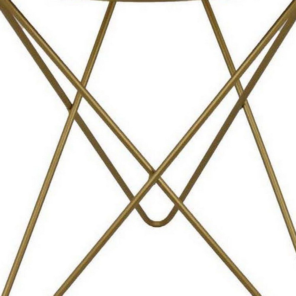 20 Inch Plant Stand Table, Round Top, Open Metal Frame, Black and Gold By Casagear Home