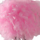 Rio 21 Inch Accent Table Lamp Pink Feather Shade Black Metal Tripod Base By Casagear Home BM311585