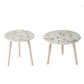 Byle 16, 20 Inch Side Table Set of 2, Floral Design, Cherry Blossom, White By Casagear Home