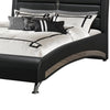 Modern Upholstered Queen Size Bed Black By Casagear Home CCA-300350Q