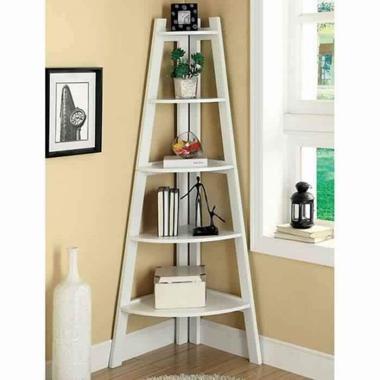 High And Spacey Contemporary Ladder Shelf, White By Casagear Home