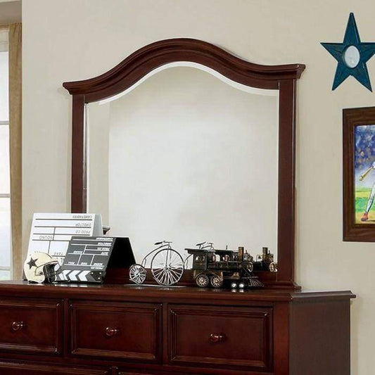 Traditional Design Frame Mirror, Brown By Casagear Home
