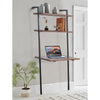 Industrial 3 Tier Mango Wood Ladder Storage Wall Shelf with Tubular Frame, Brown and Black By The Urban Port