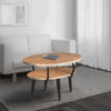 Mango Wood Oval Coffee Table with Open Shelf Oak Brown and Black By The Urban Port UPT-263763