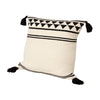 18 x 18 Square Cotton Accent Throw Pillow with Simple Striped Pattern and Tassels, White and Black By The Urban Port